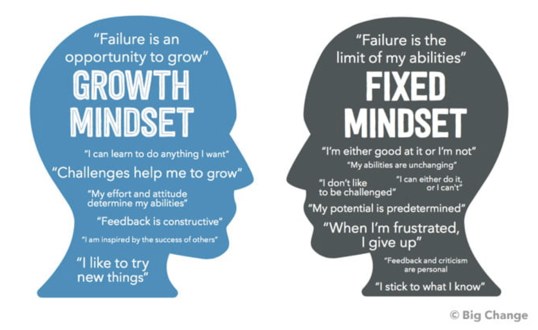 Learning/Growth Mindset.