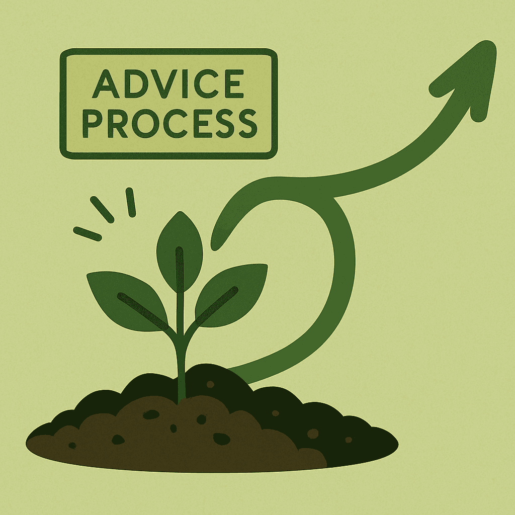Advice Process.